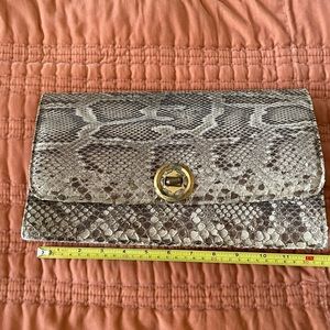 Authentic real snake skin clutch